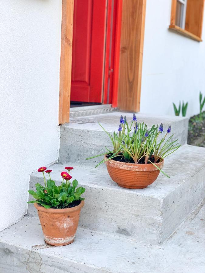 Ferienhaus Feni Neckargemünd Kültér fotó